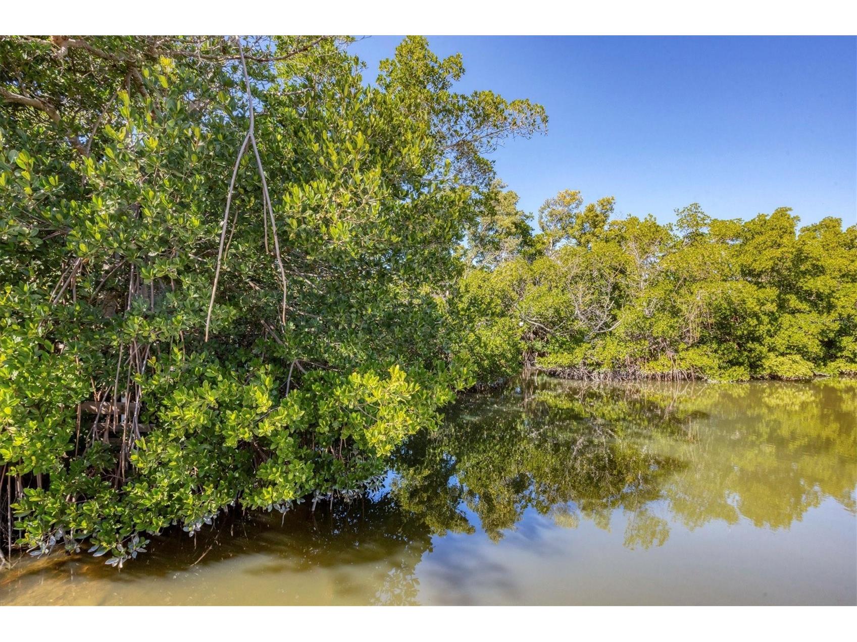 651 Jungle Queen Way Longboat Key FL 34228 A4680514 image45