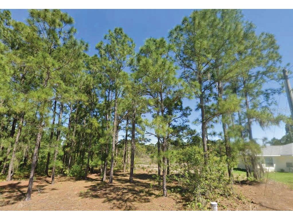 651 Lynn Drive Lake Placid FL 33852 O6280181 image1