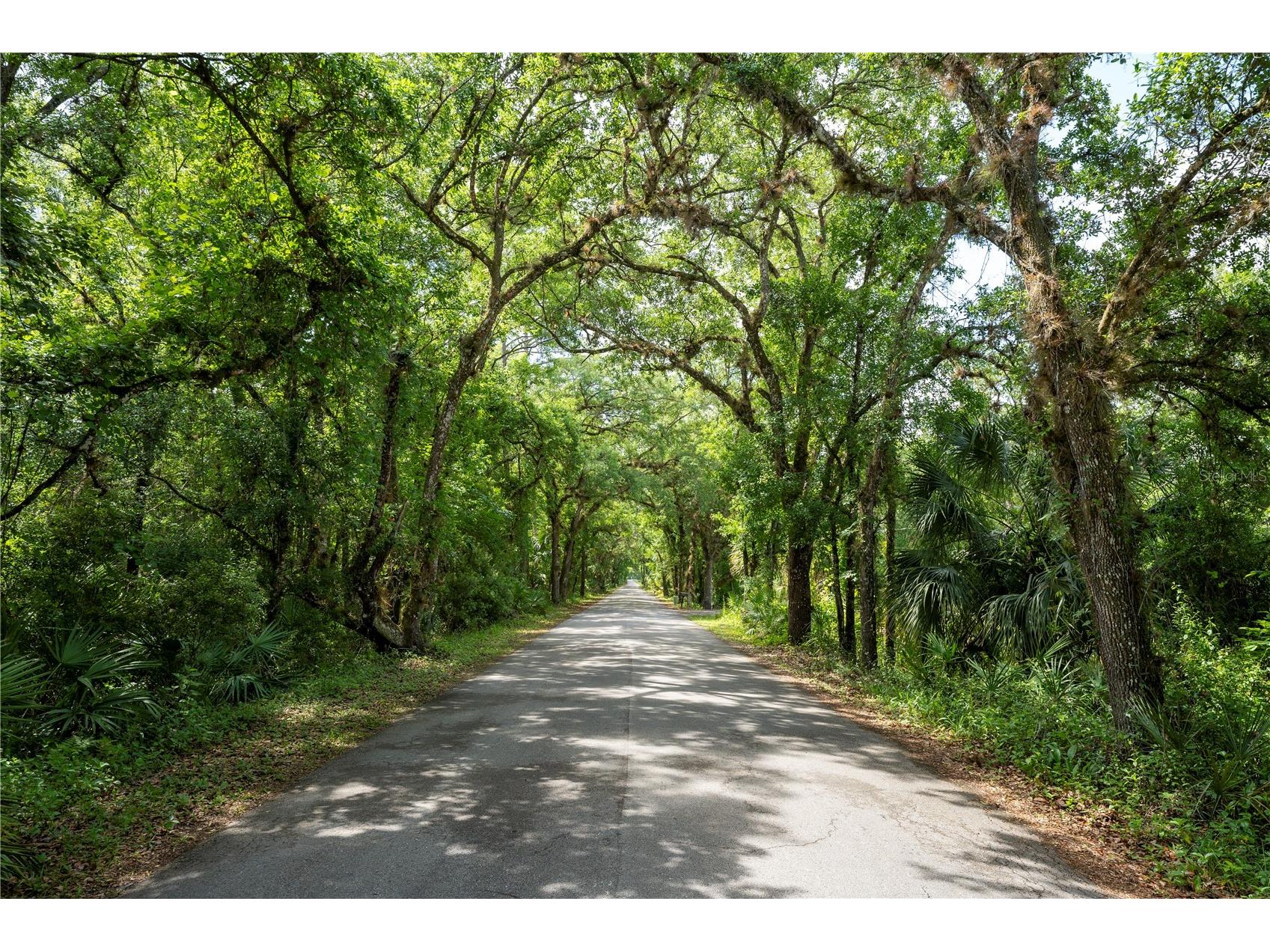 651 S County Road 13 Orlando FL 32833 O6402706 image1