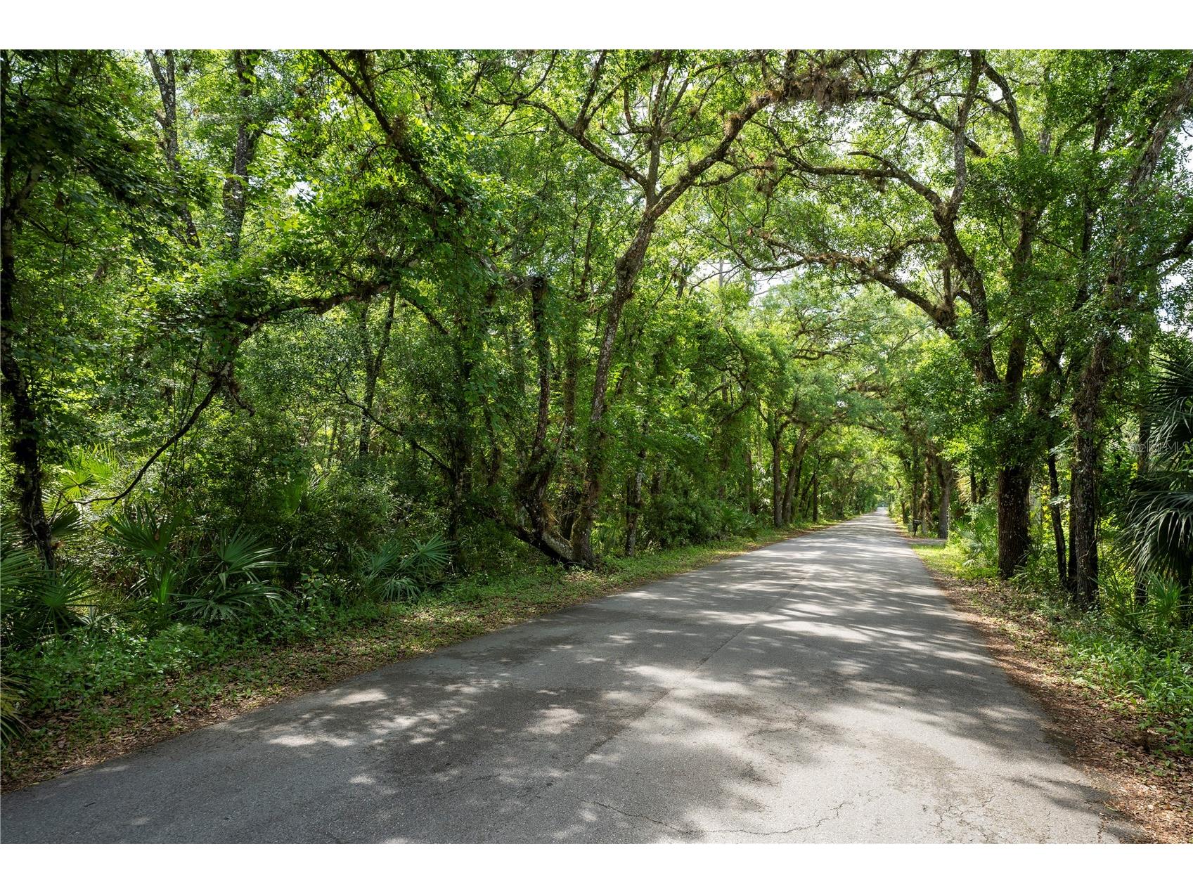 651 S County Road 13 Orlando FL 32833 O6402706 image2
