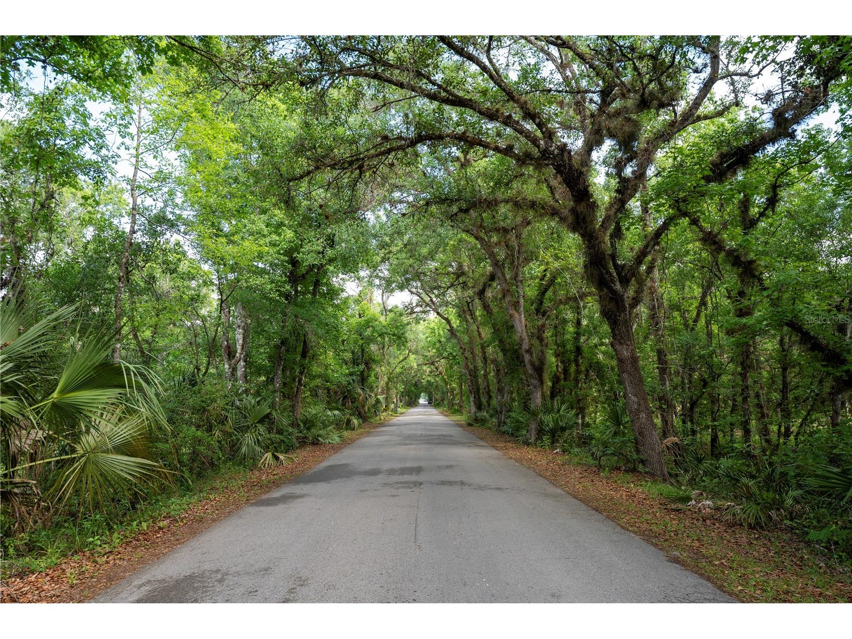 651 S County Road 13 Orlando FL 32833 O6402706 image3