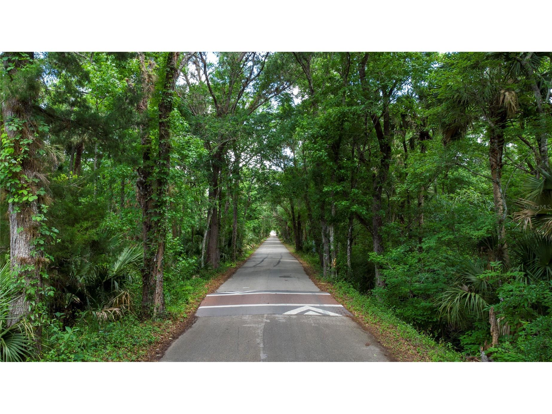 651 S County Road 13 Orlando FL 32833 O6402706 image4