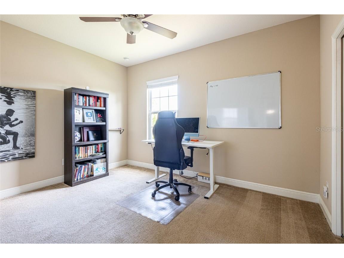 6510 Nestall Court Apollo Beach FL 33572 TB8452297 image33