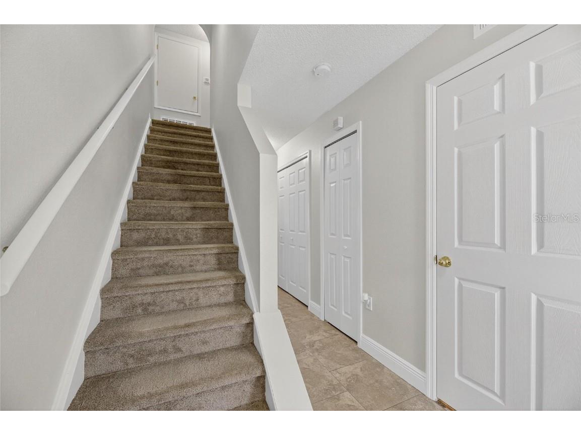 6510 Tabogi Trail Wesley Chapel FL 33545 TB8422528 image15