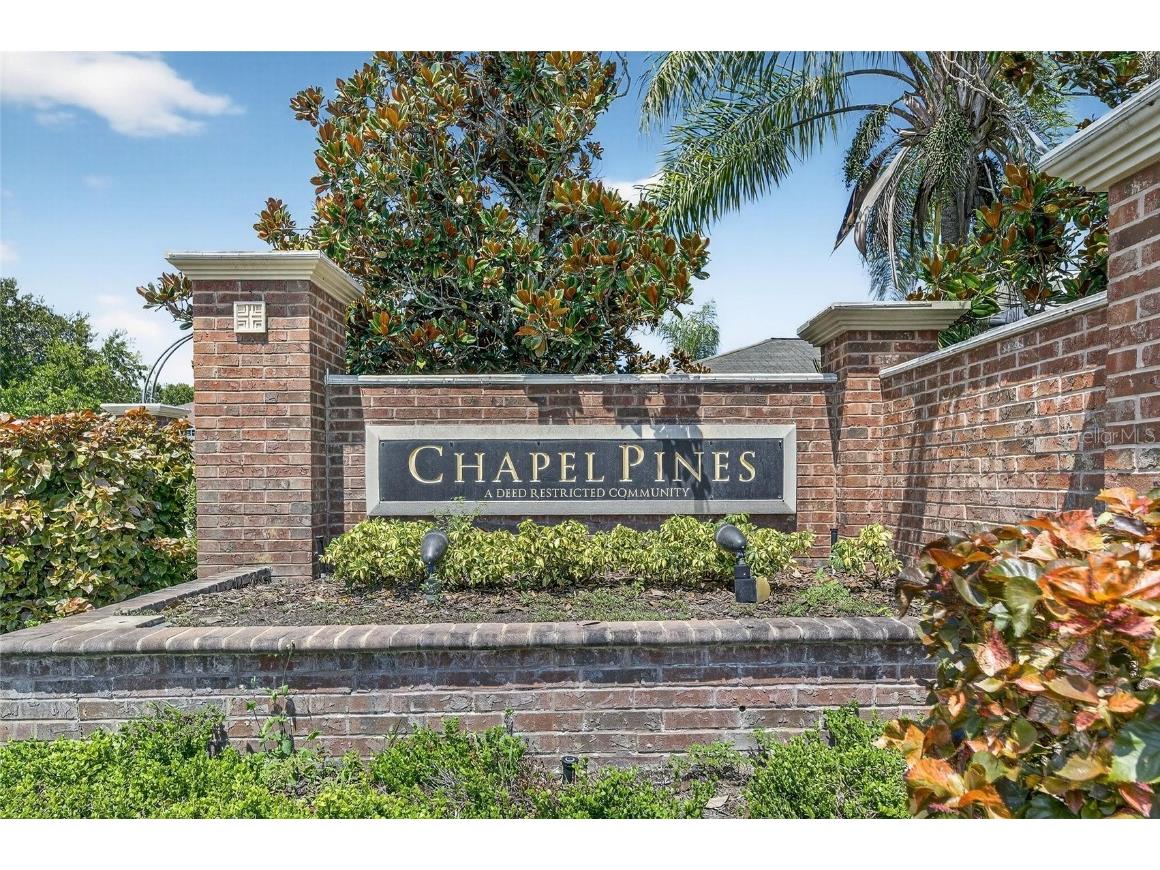 6510 Tabogi Trail Wesley Chapel FL 33545 TB8422528 image2