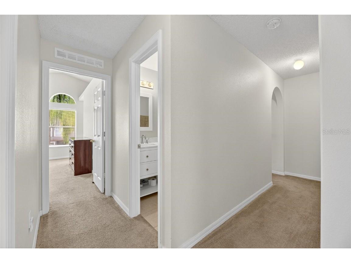 6510 Tabogi Trail Wesley Chapel FL 33545 TB8422528 image23