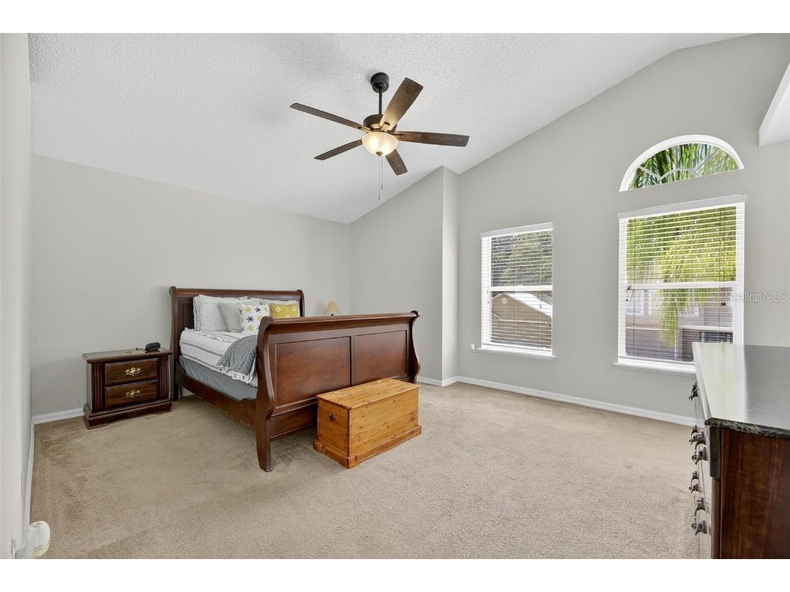 6510 Tabogi Trail Wesley Chapel FL 33545 TB8422528 image24