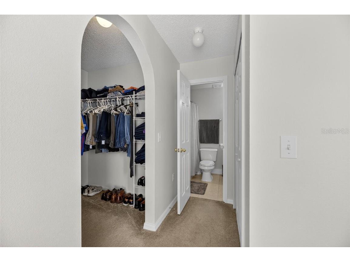 6510 Tabogi Trail Wesley Chapel FL 33545 TB8422528 image26