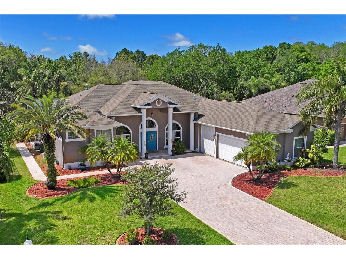 6511 Alcester Drive New Port Richey FL 34655 W7863471 image1