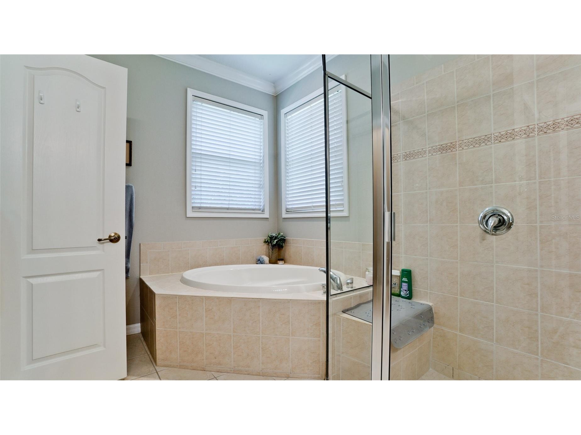 6511 Rock Bridge Lane Ellenton FL 34222 A4692918 image20