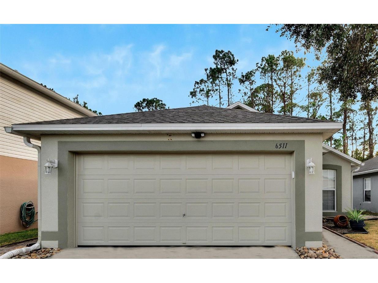 6511 Tabogi Trail Wesley Chapel FL 33545 TB8323198 image1