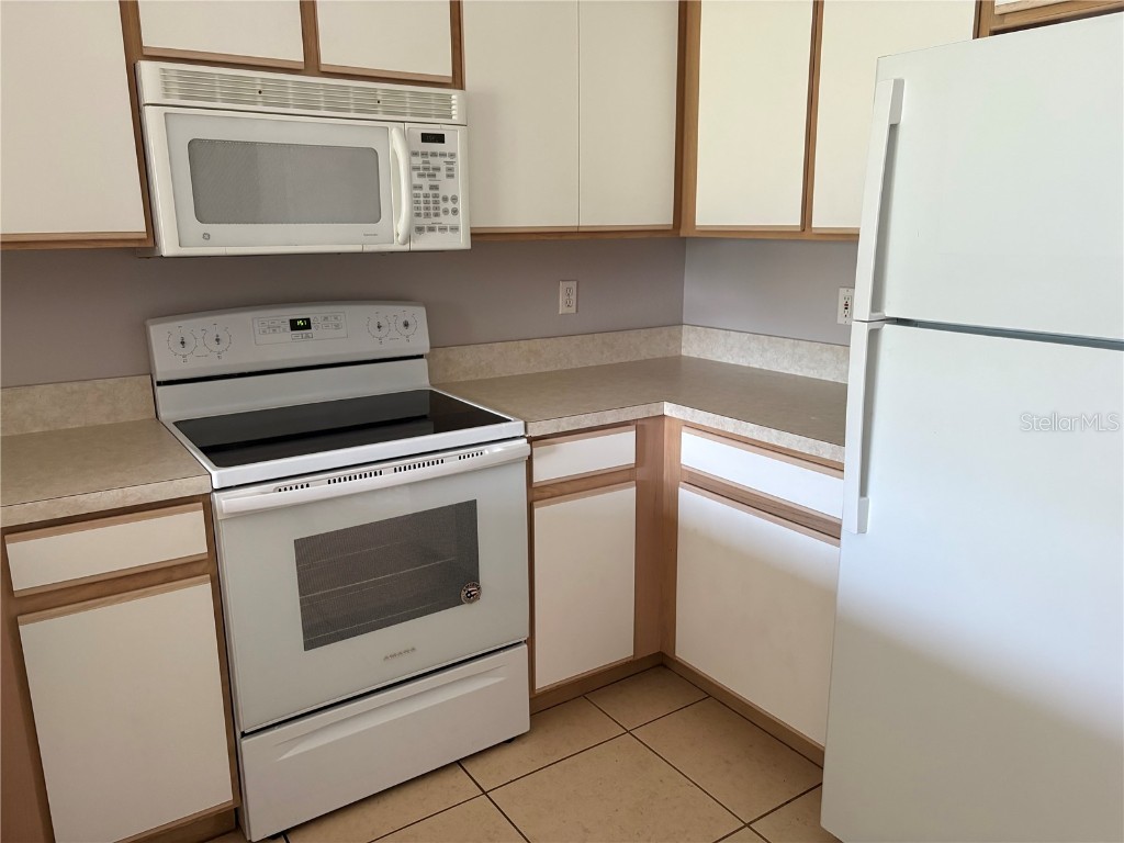 6512 Osprey Lake Circle Riverview FL 33578 TB8444374 image11