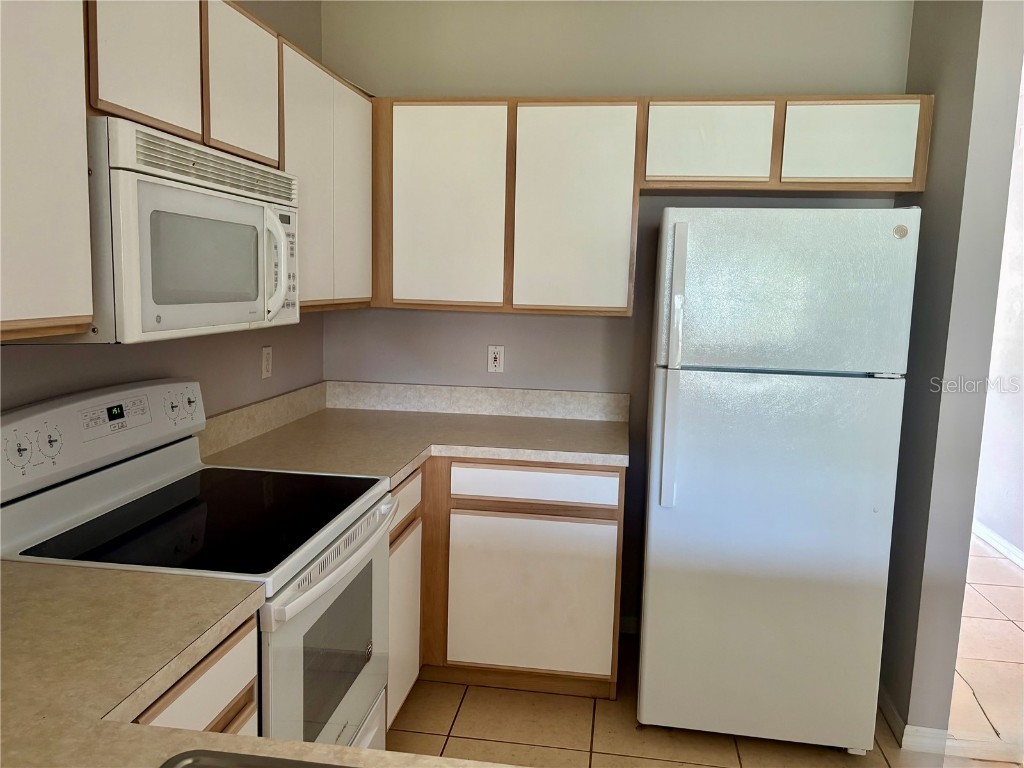 6512 Osprey Lake Circle Riverview FL 33578 TB8444374 image12