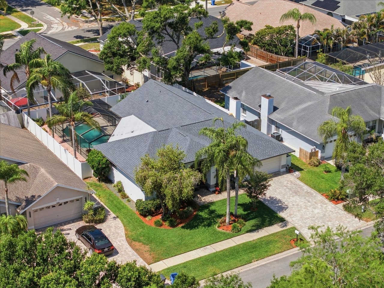 6512 Steeplechase Drive Tampa FL 33625 TB8505271 image2