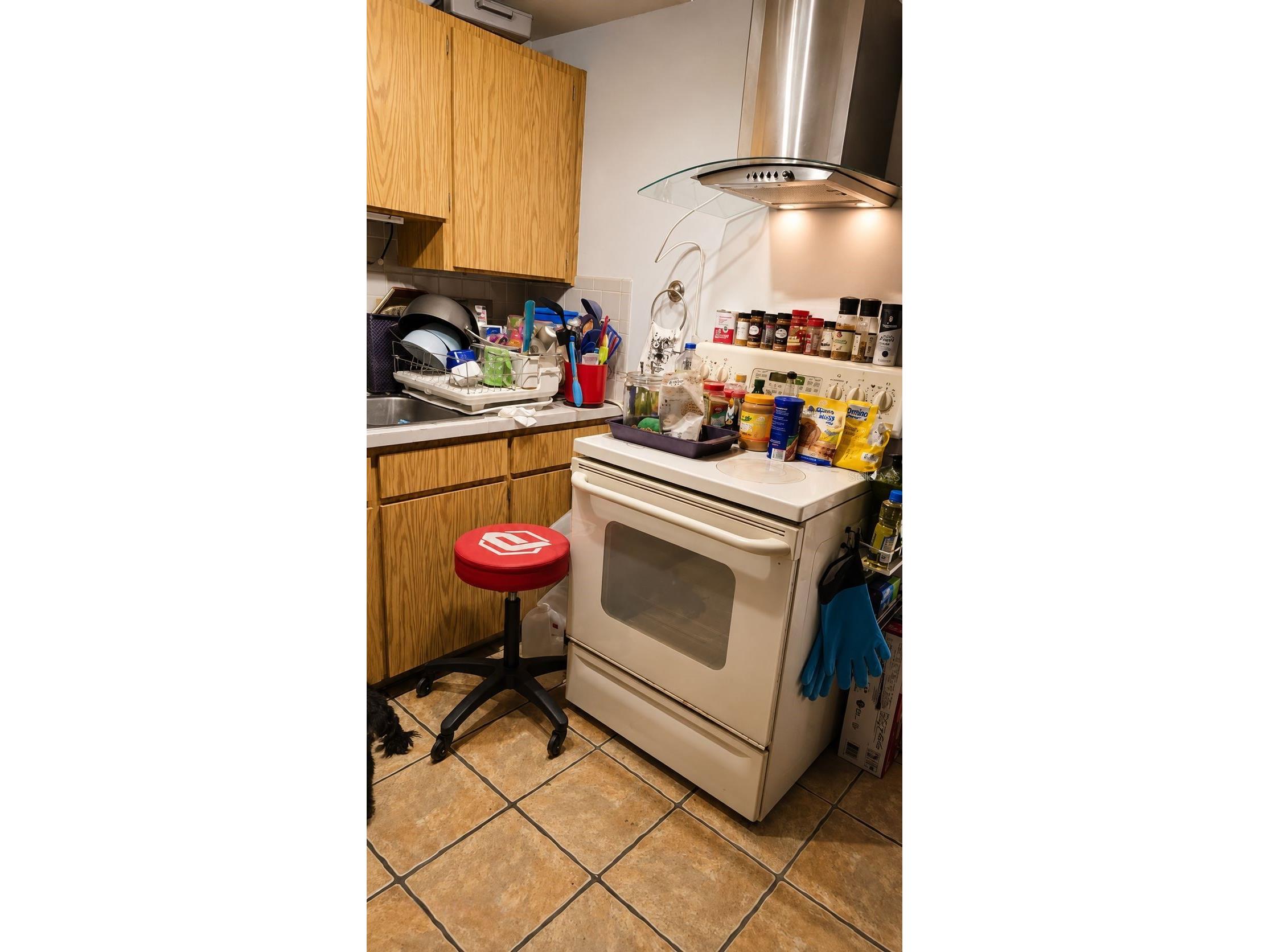 6512 W Chelsea Street Tampa FL 33634 TB8532423 image3