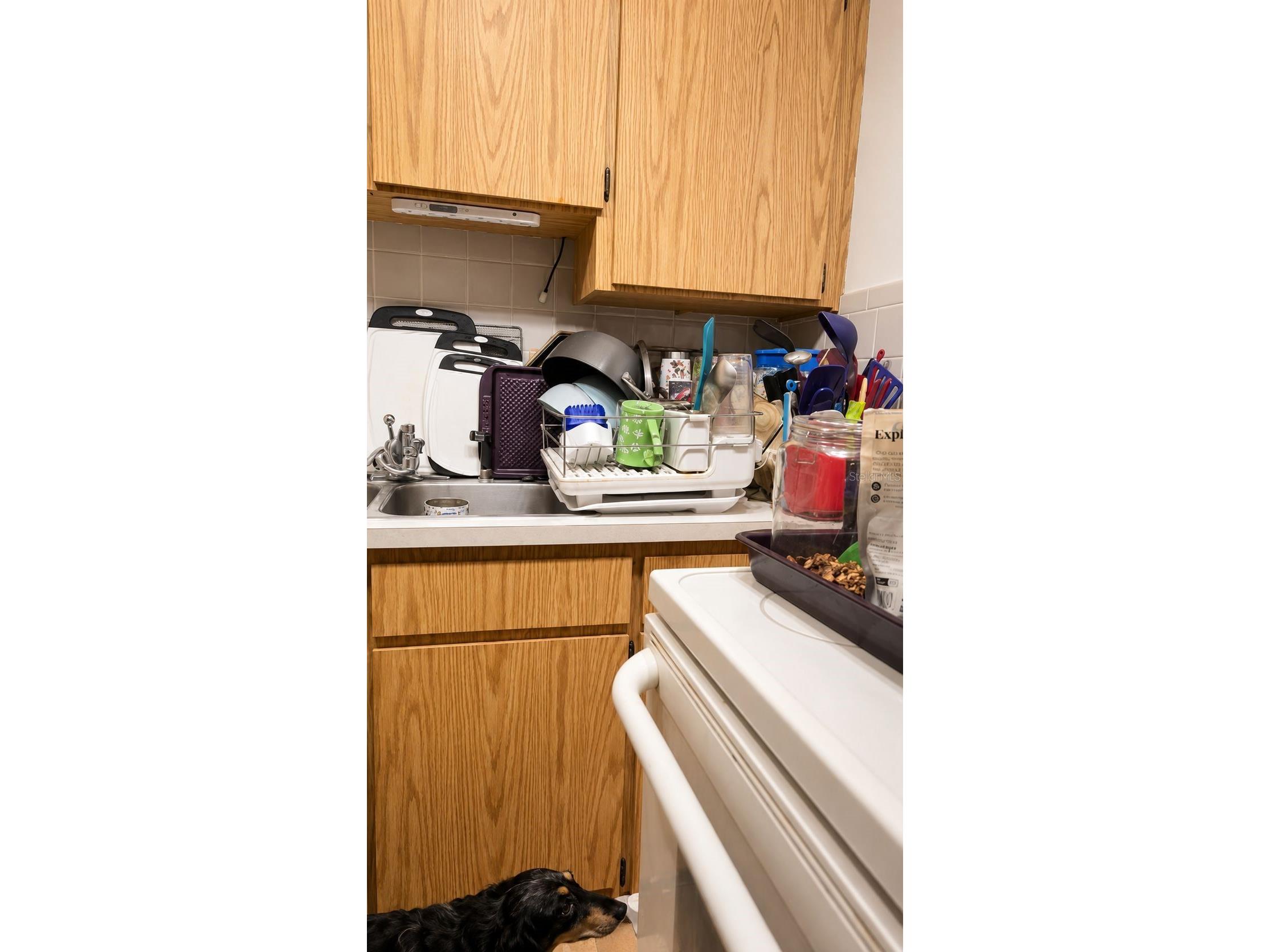 6512 W Chelsea Street Tampa FL 33634 TB8532423 image9