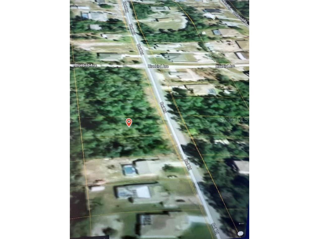 6513 Owl Road Weeki Wachee FL 34613 TB8341576 image1