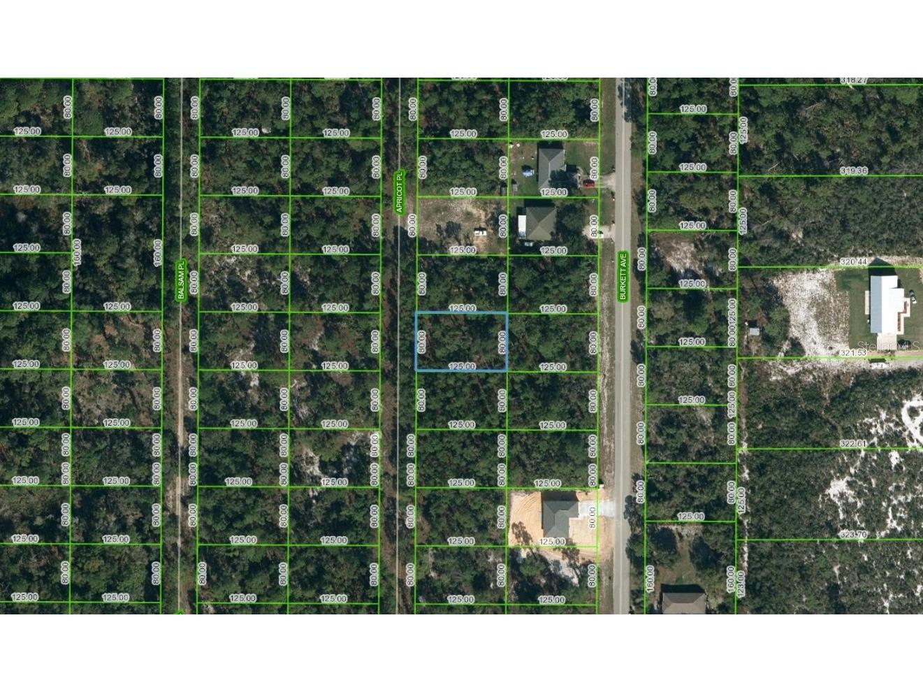 6514 Apricot Place Sebring FL 33875 C7475965 image1