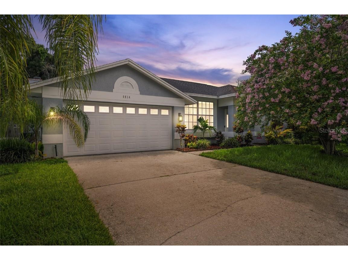 6514 Steeplechase Drive Tampa FL 33625 T3543703 image1