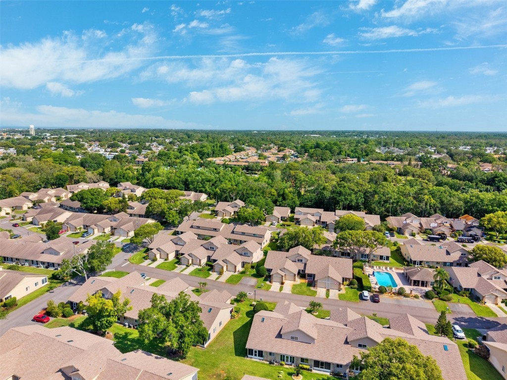 6514 Thicket Trail New Port Richey FL 34653 TB8381005 image28