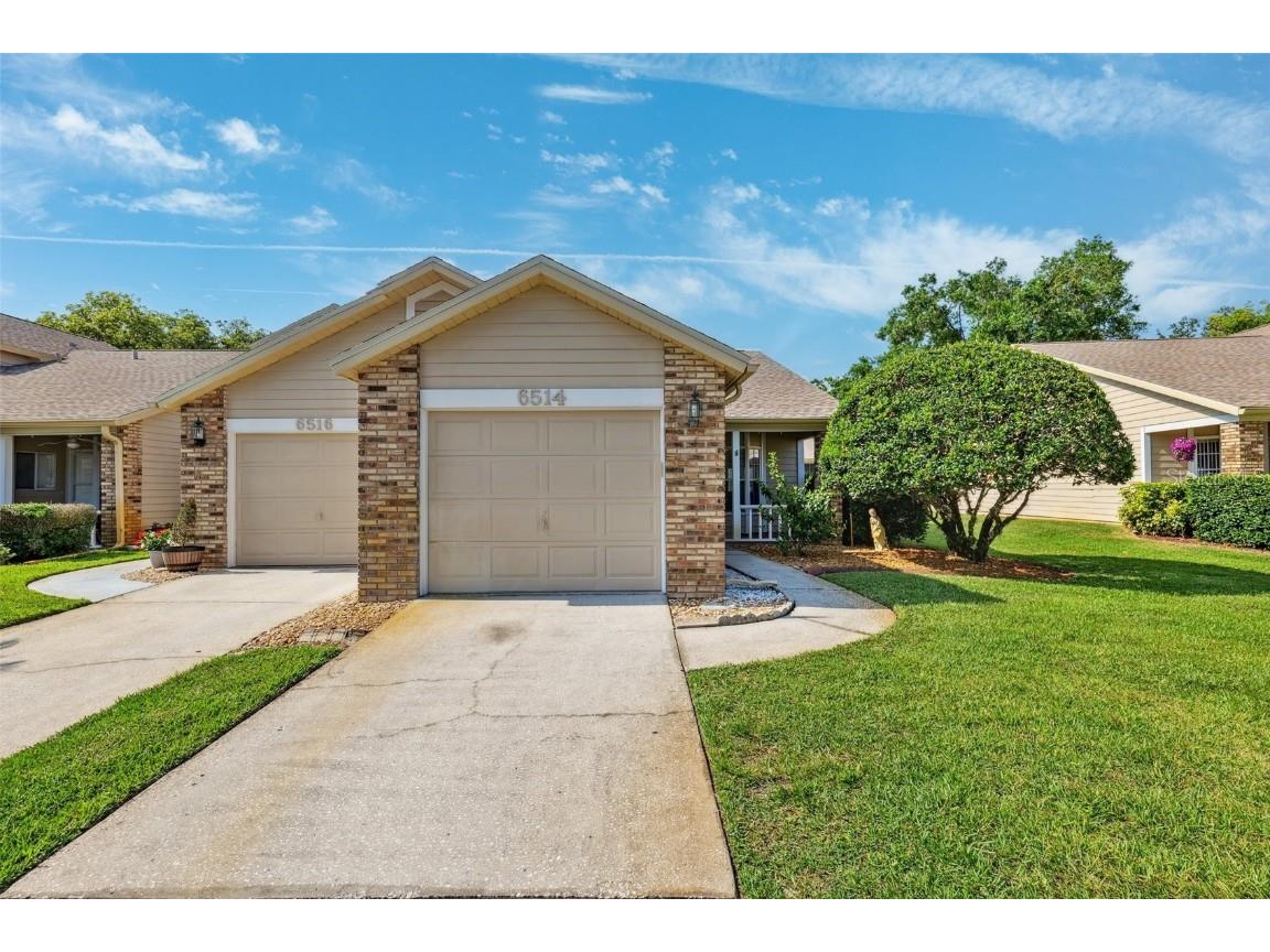 6514 Thicket Trail New Port Richey FL 34653 TB8381005 image29