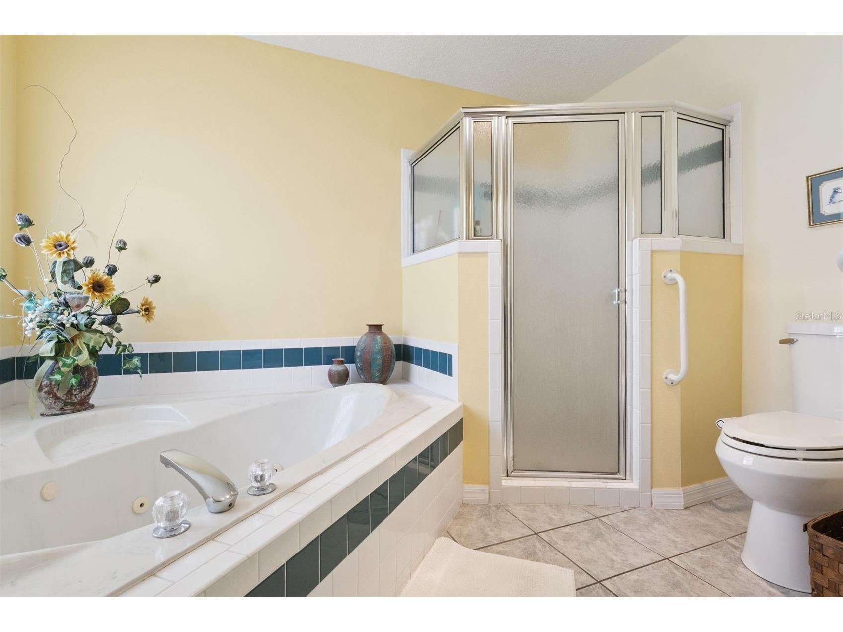 6514 Wilander Street Leesburg FL 34748 G5107603 image10