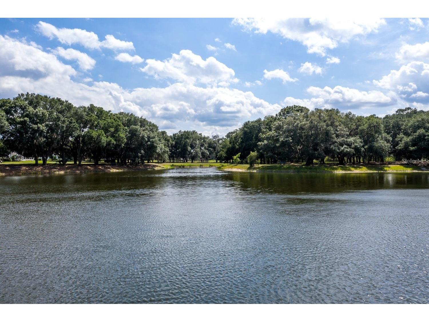 6514 Wilander Street Leesburg FL 34748 G5107603 image27