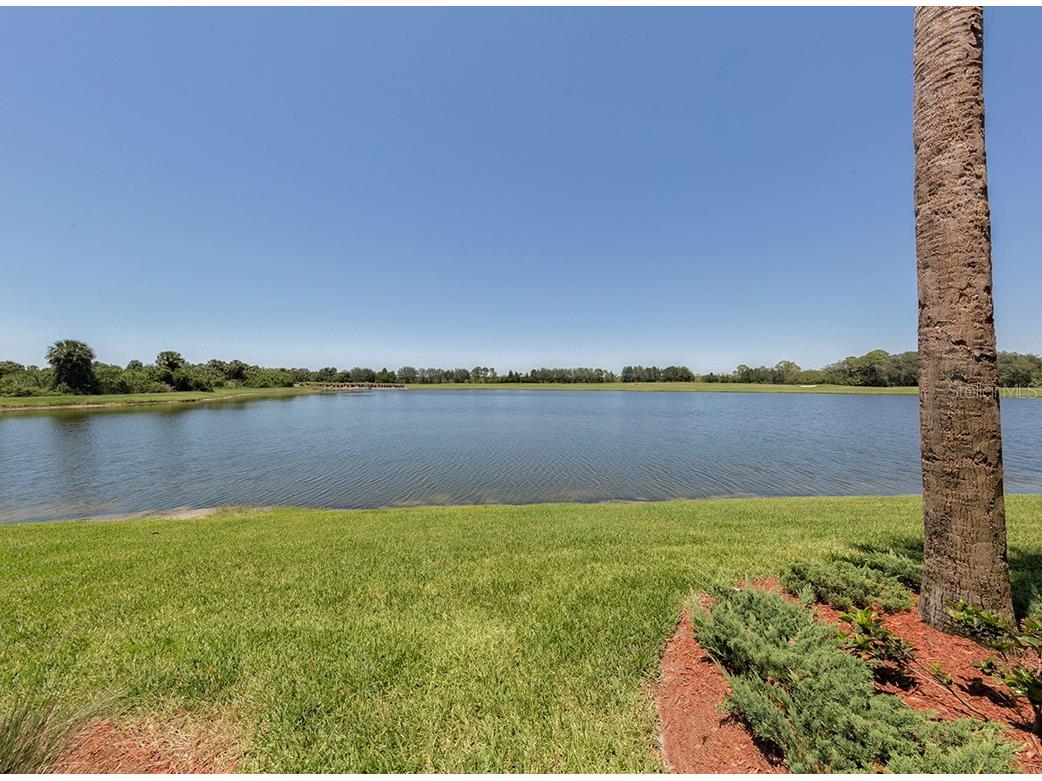 6515 Grand Estuary Trail #103 Bradenton FL 34212 A4668788 image28