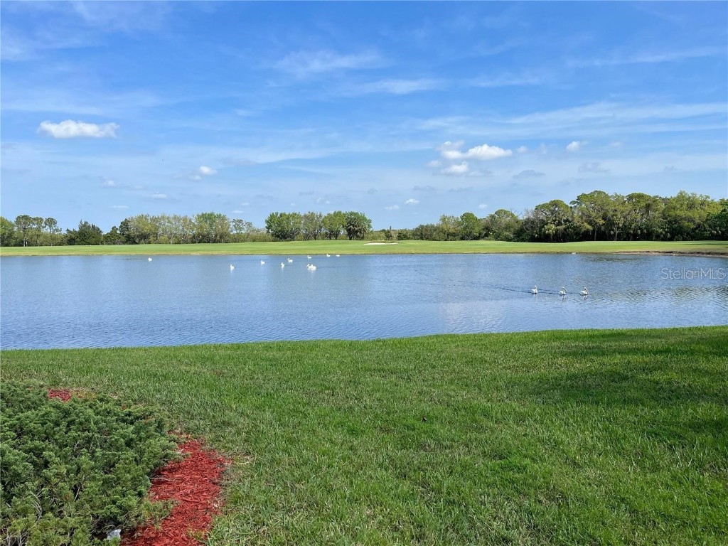 6515 Grand Estuary Trail #108 Bradenton FL 34212 A4658385 image17