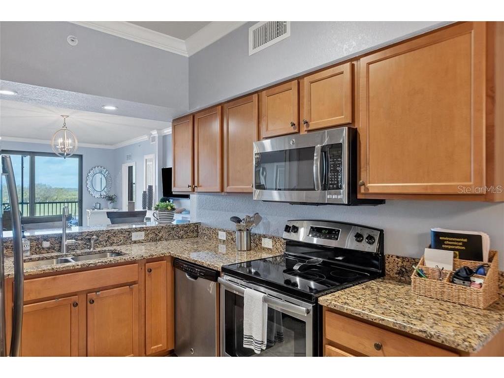 6515 Grand Estuary Trail #305 Bradenton FL 34212 A4676069 image7