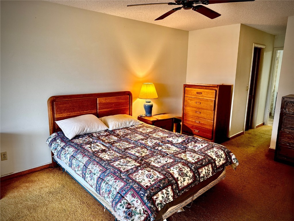 6515 King Palm Way Apollo Beach FL 33572 TB8454960 image16