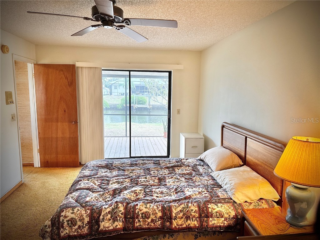 6515 King Palm Way Apollo Beach FL 33572 TB8454960 image17