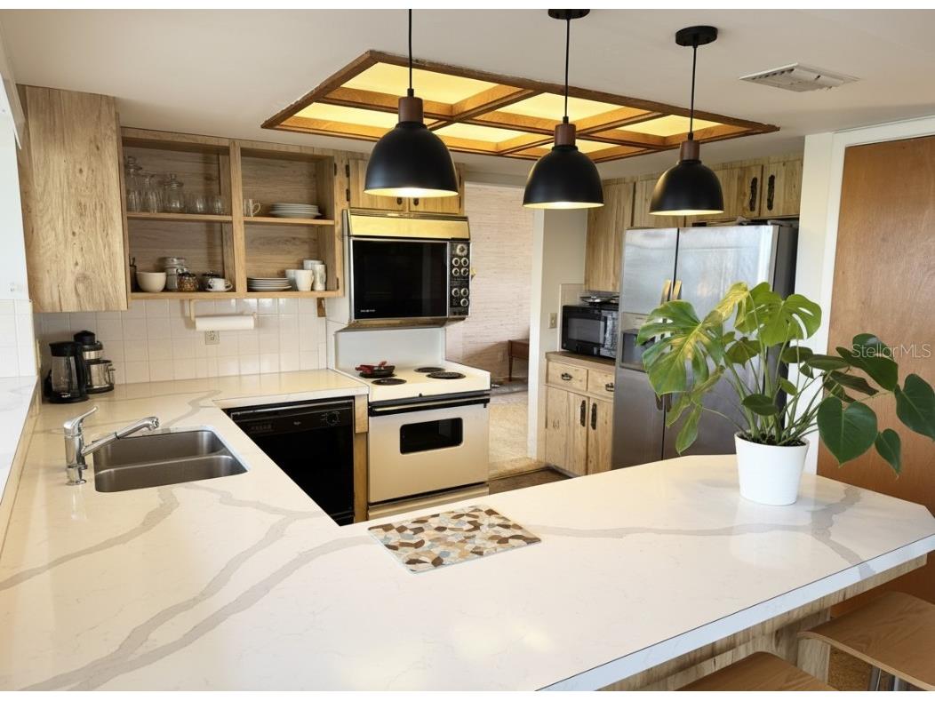 6515 King Palm Way Apollo Beach FL 33572 TB8454960 image9