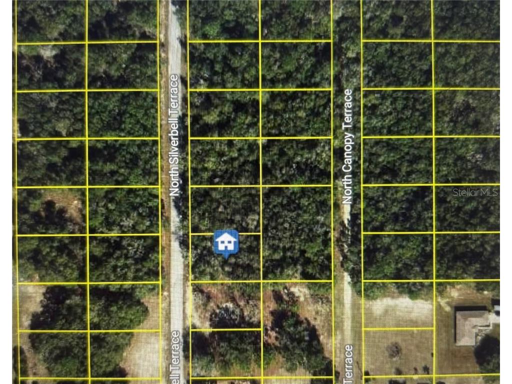 6515 N Silverbell Terrace Hernando FL 34442 W7878905 image1