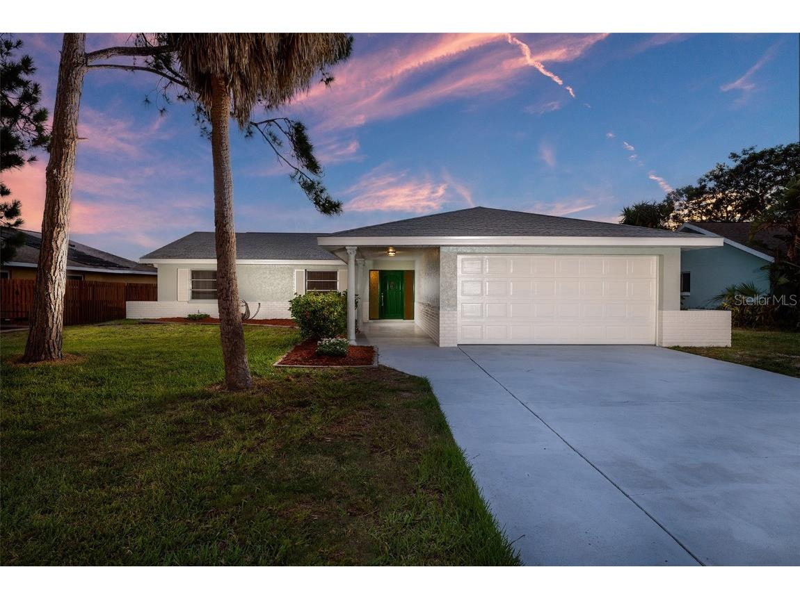 6515 Solitaire Palm Way Apollo Beach FL 33572 T3457474 image1