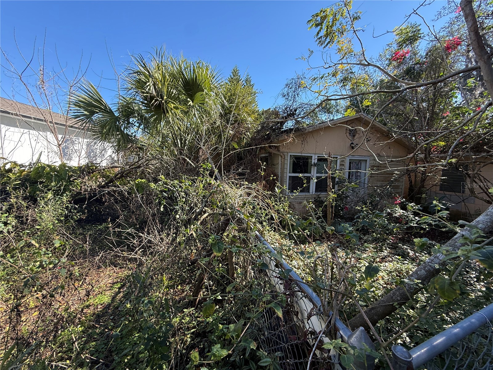 6515 Taylor Court New Port Richey FL 34653 TB8465895 image10