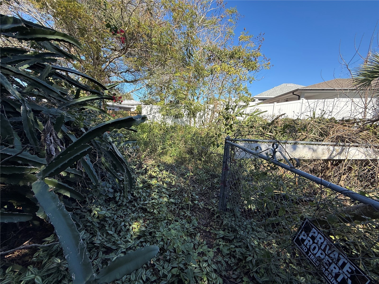 6515 Taylor Court New Port Richey FL 34653 TB8465895 image12