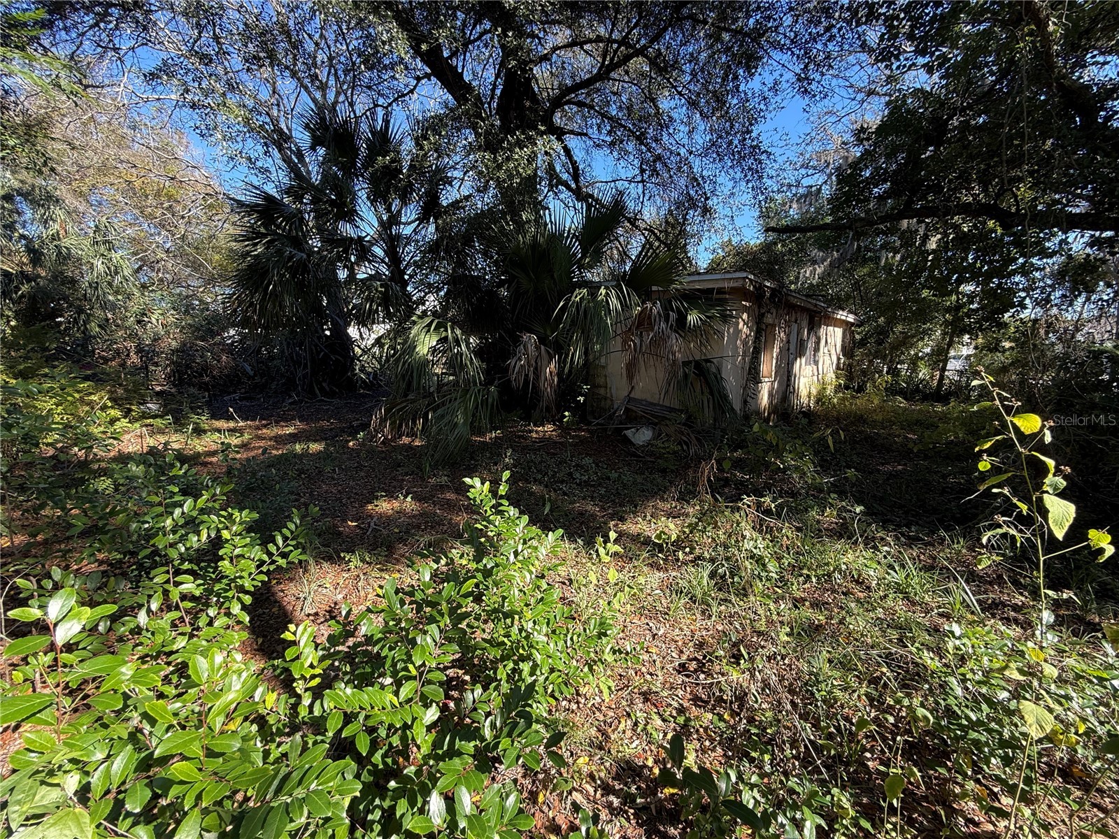 6515 Taylor Court New Port Richey FL 34653 TB8465895 image14