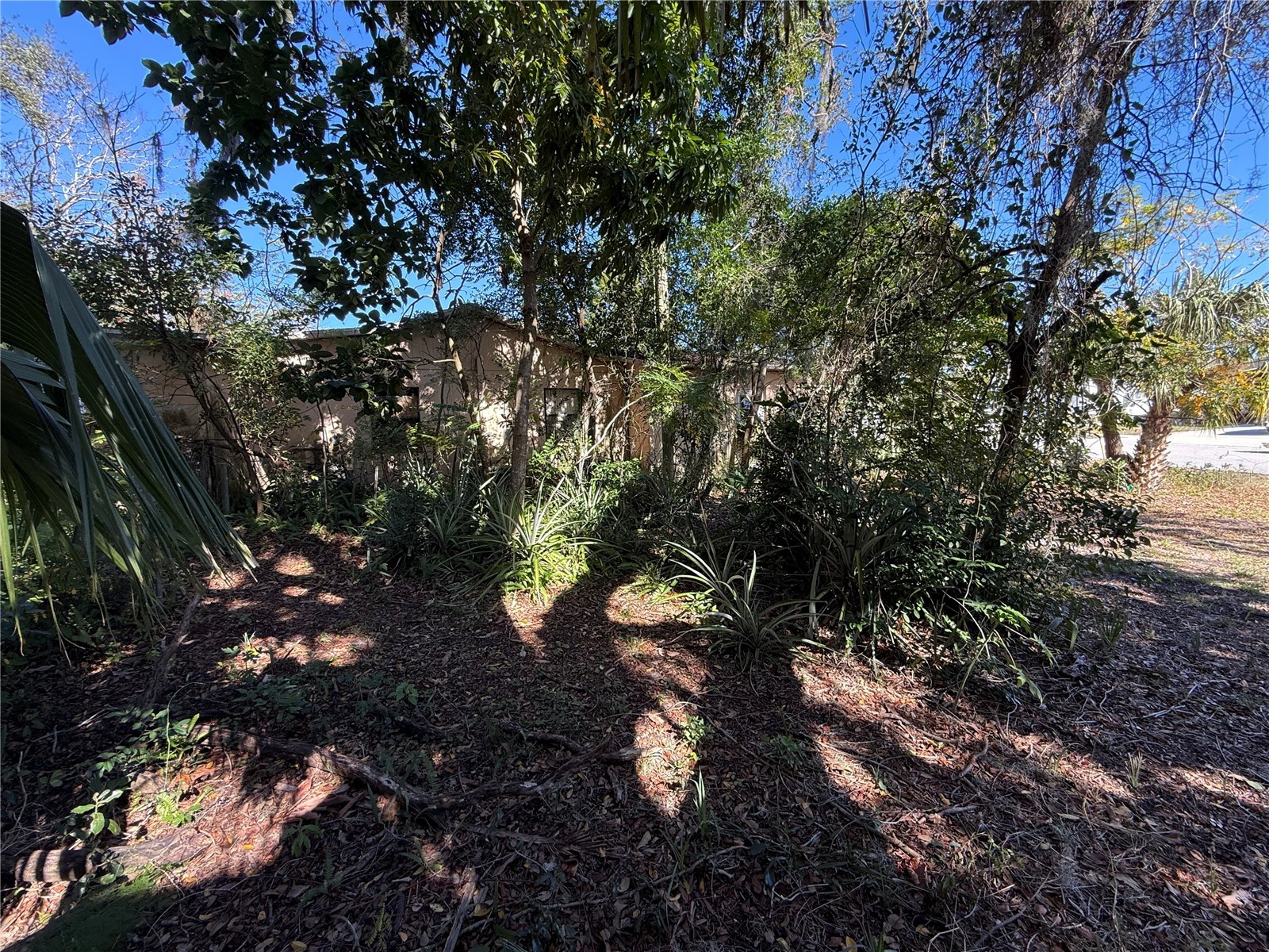 6515 Taylor Court New Port Richey FL 34653 TB8465895 image17