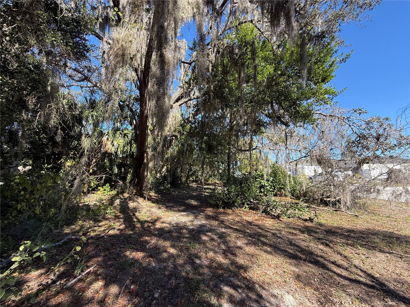 6515 Taylor Court New Port Richey FL 34653 TB8465895 image19