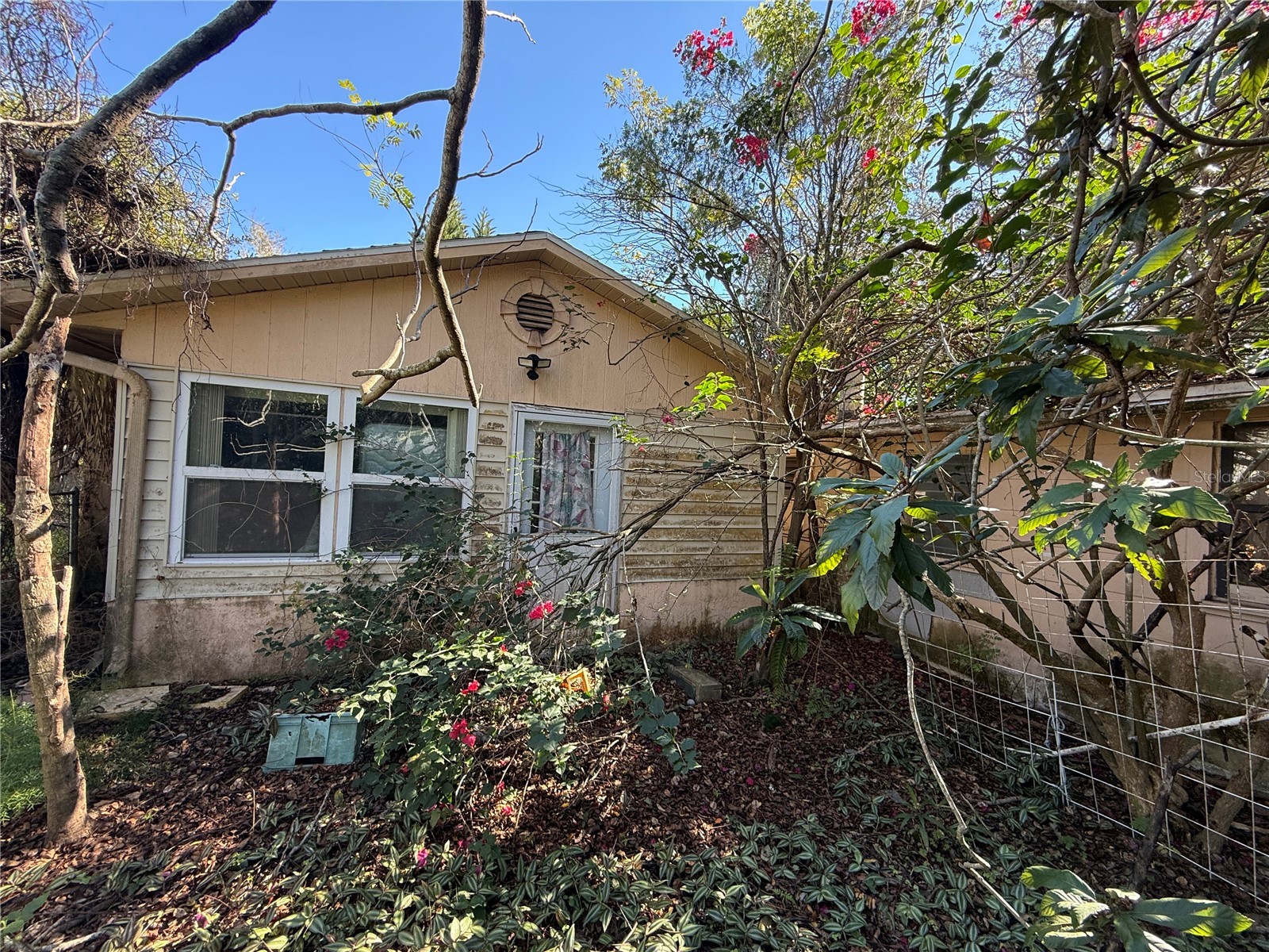6515 Taylor Court New Port Richey FL 34653 TB8465895 image2