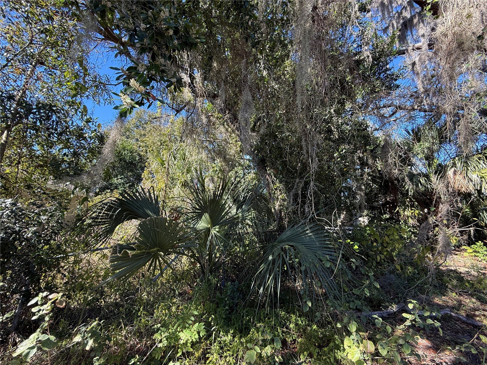 6515 Taylor Court New Port Richey FL 34653 TB8465895 image20