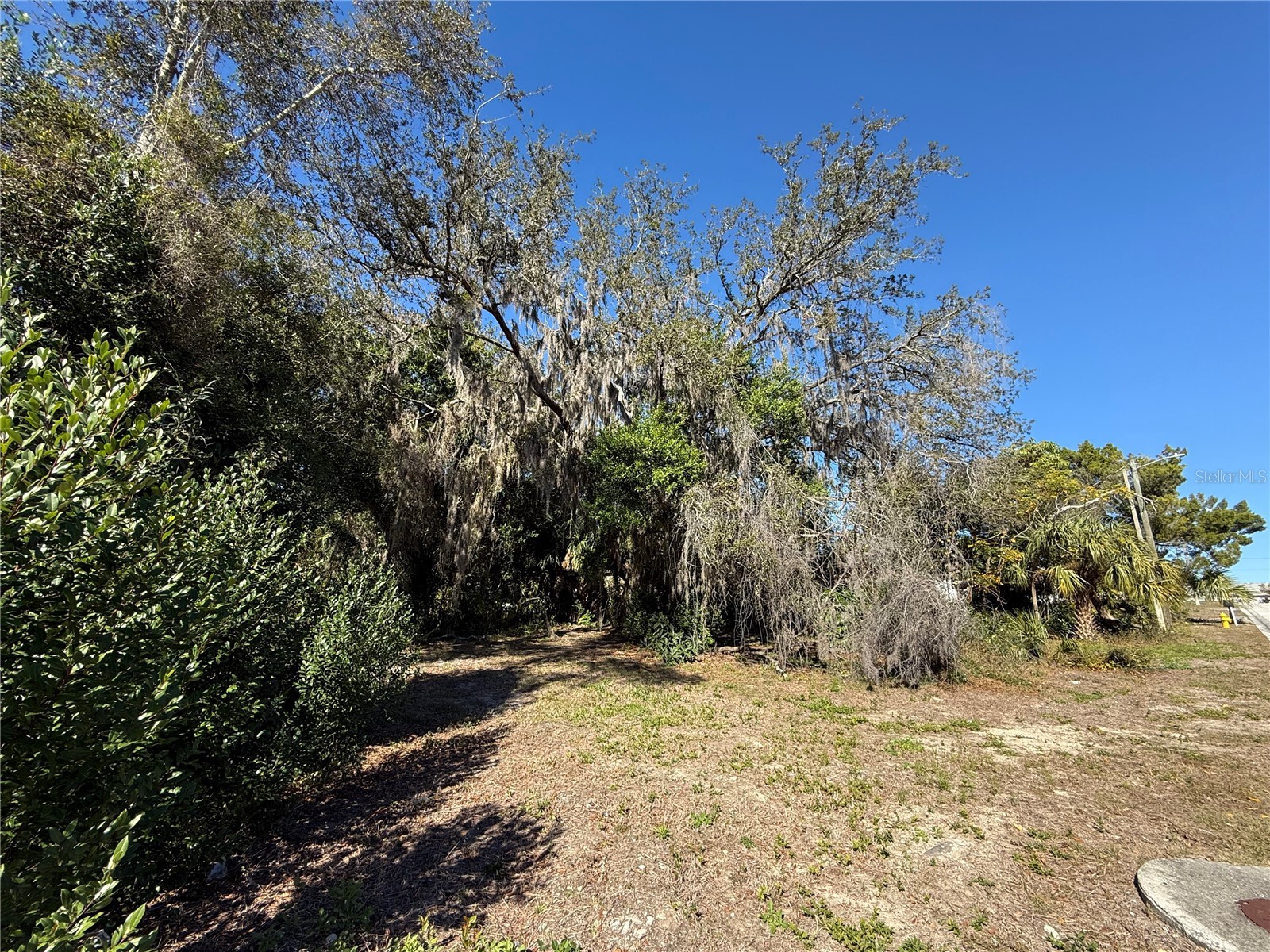 6515 Taylor Court New Port Richey FL 34653 TB8465895 image21