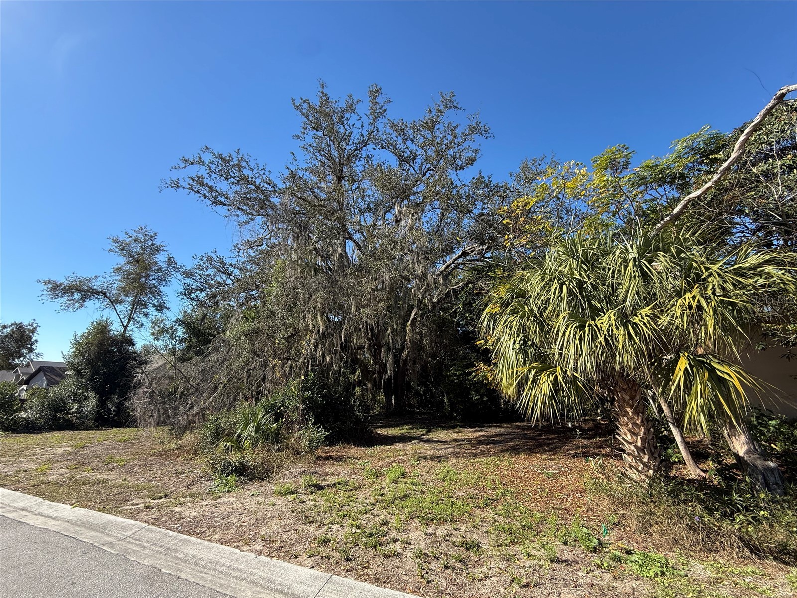 6515 Taylor Court New Port Richey FL 34653 TB8465895 image22