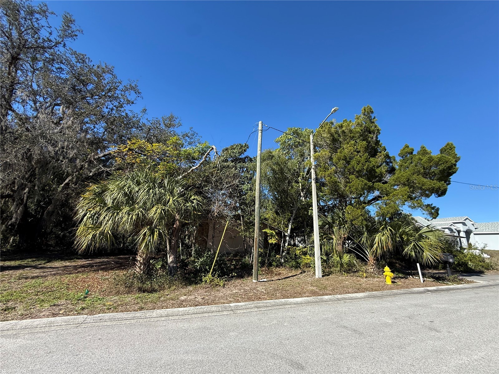 6515 Taylor Court New Port Richey FL 34653 TB8465895 image23