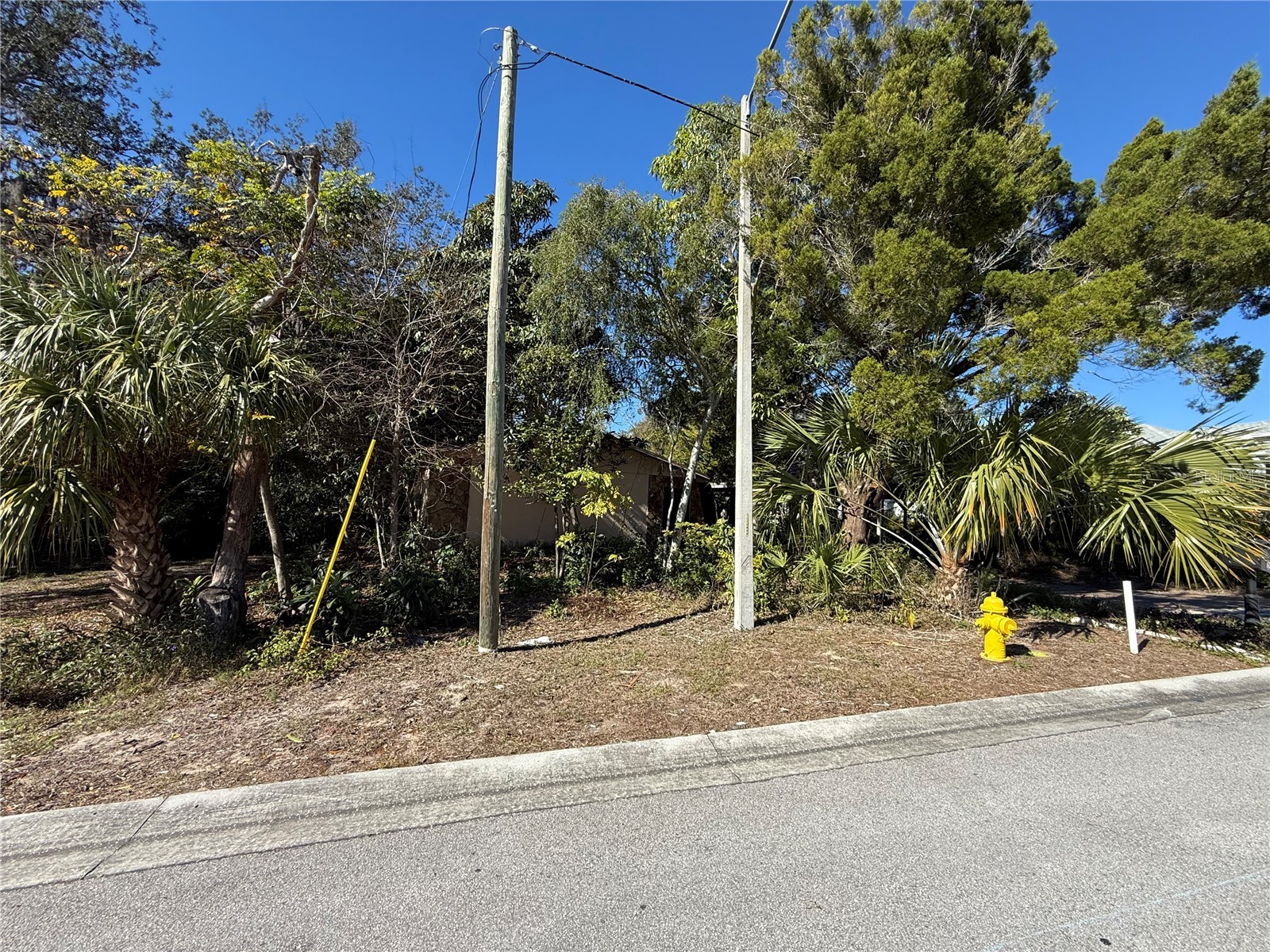 6515 Taylor Court New Port Richey FL 34653 TB8465895 image8