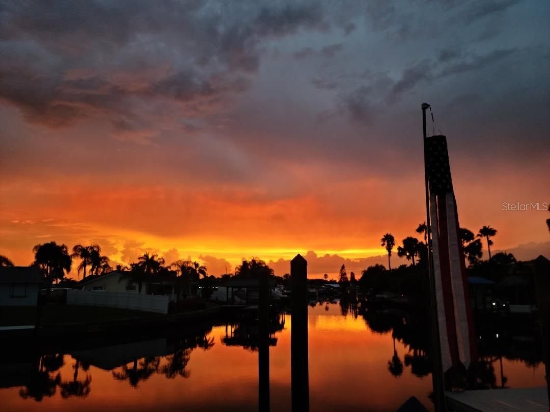 6516 Bimini Court Apollo Beach FL 33572 TB8414429 image40