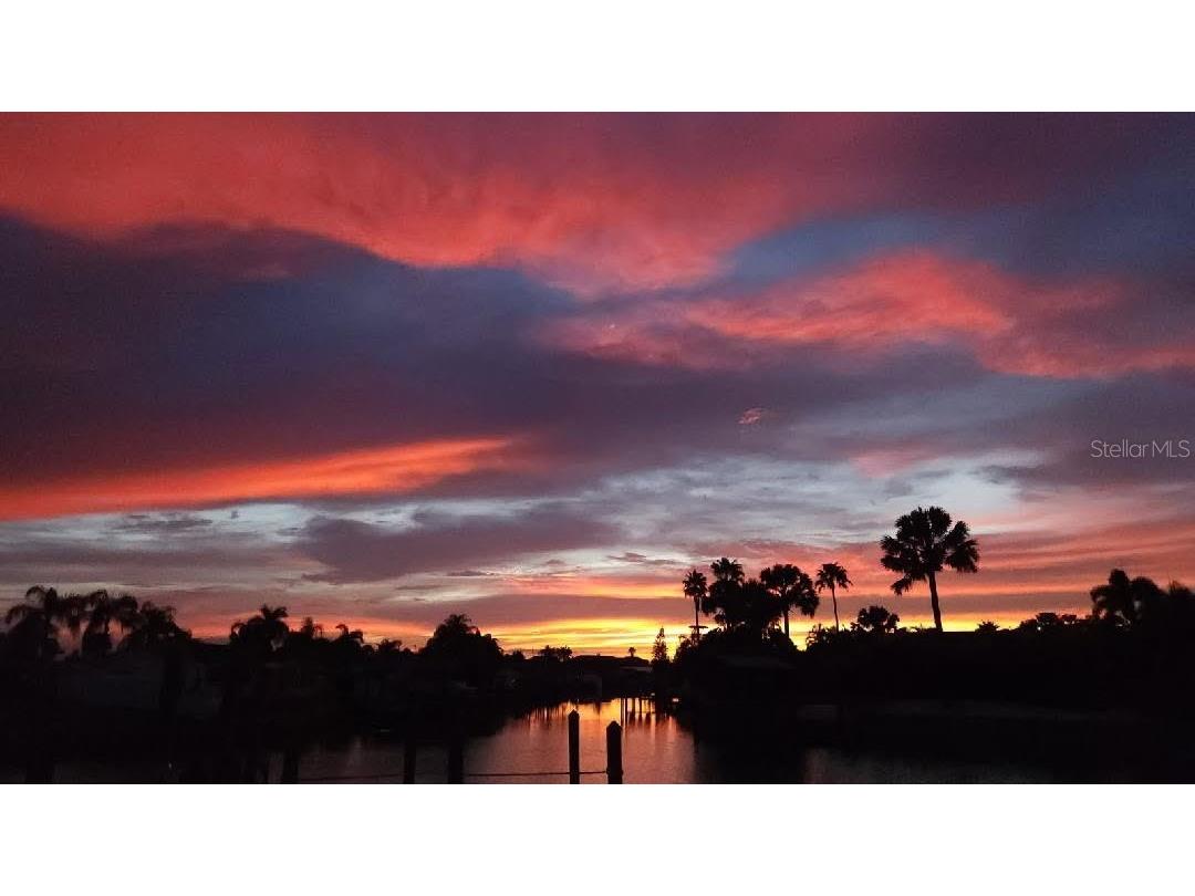 6516 Bimini Court Apollo Beach FL 33572 TB8414429 image41