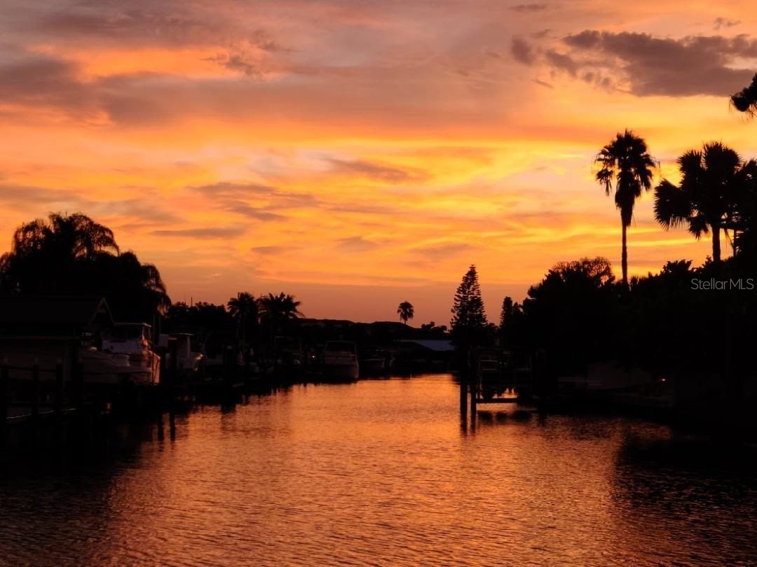 6516 Bimini Court Apollo Beach FL 33572 TB8414429 image42