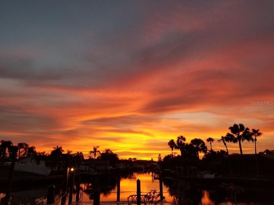 6516 Bimini Court Apollo Beach FL 33572 TB8414429 image44